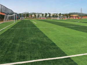 運(yùn)動(dòng)型人造草